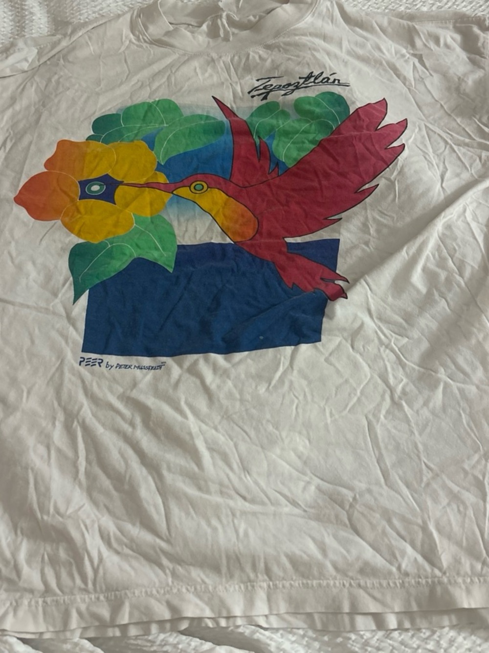 Vintage 90’s Tee with Colorful Hummingbird